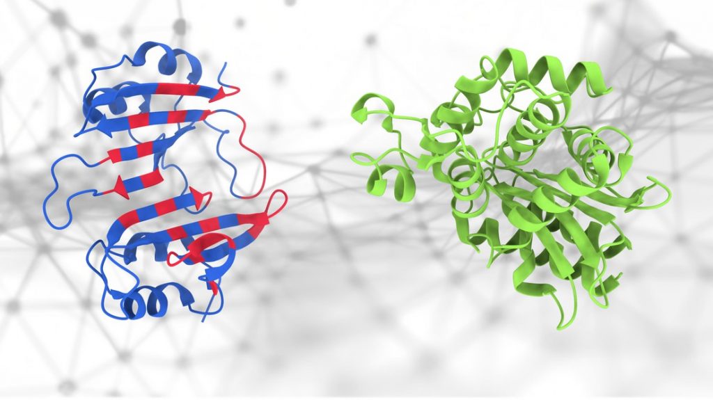 Pesto An Ai Tool For Predicting Protein Interactions Hub