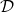 \mathcal{D}