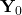 \mathbf{Y}_0