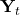 \mathbf{Y}_t