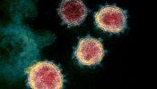 Novel_Coronavirus_SARS-CoV-2