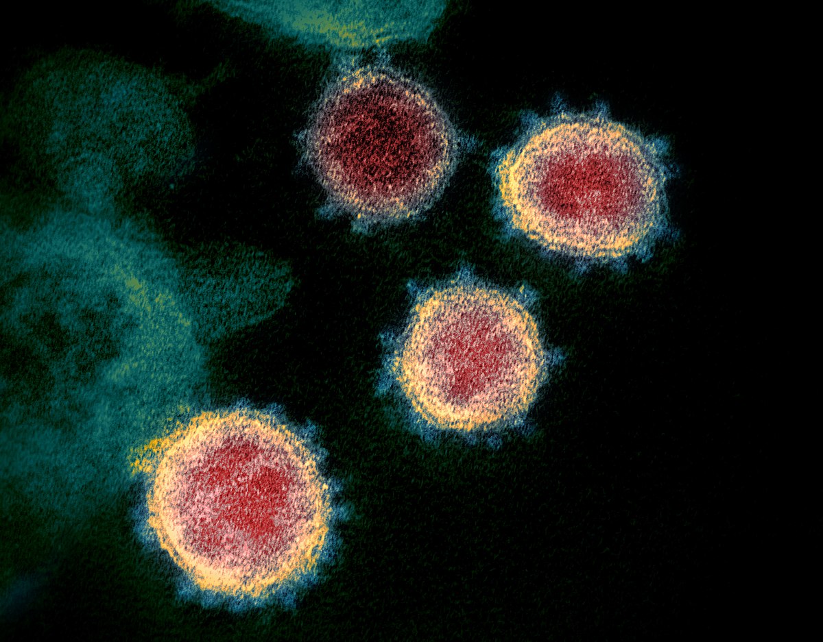 Novel_Coronavirus_SARS-CoV-2