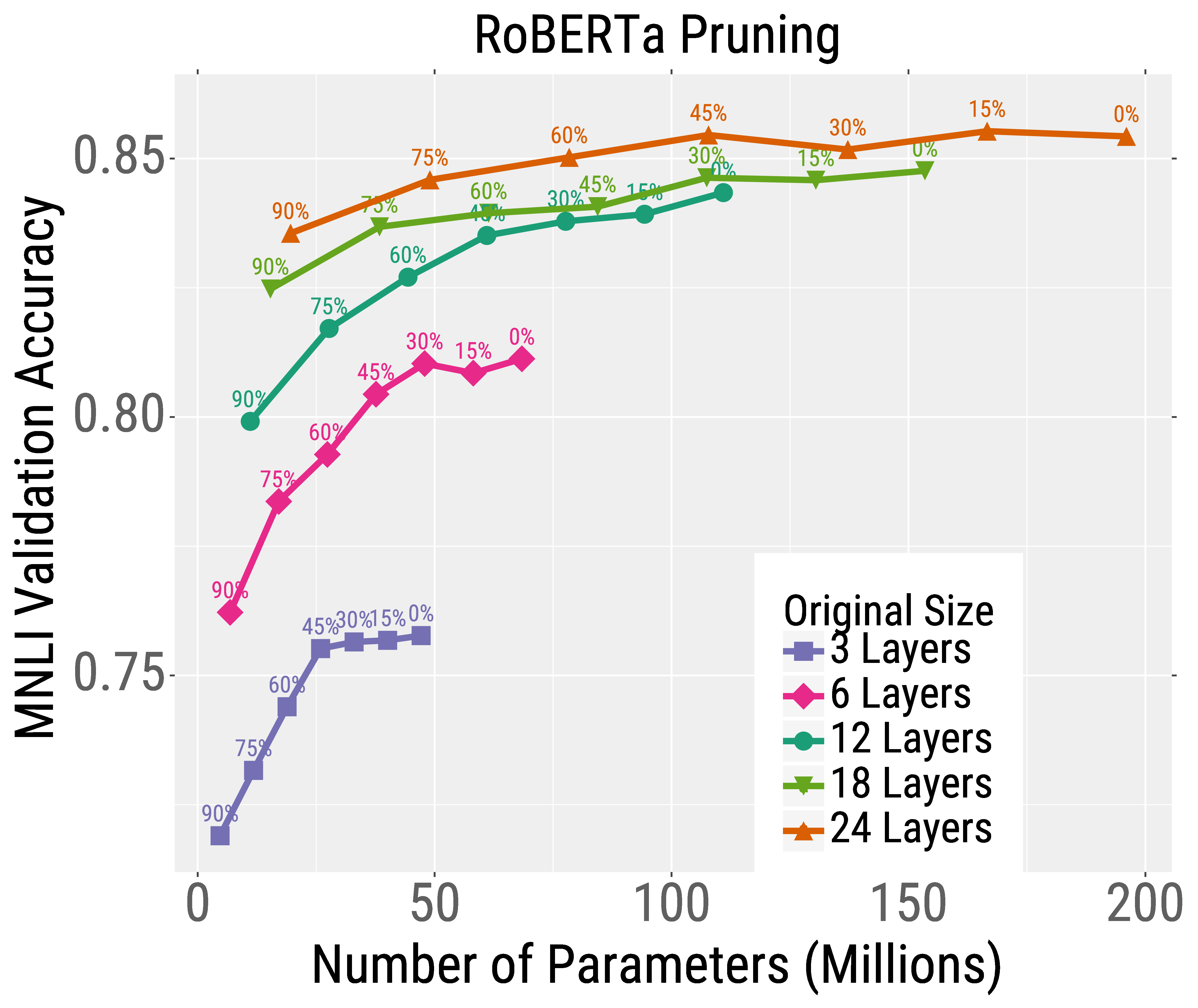 Roberta pruning and quantization