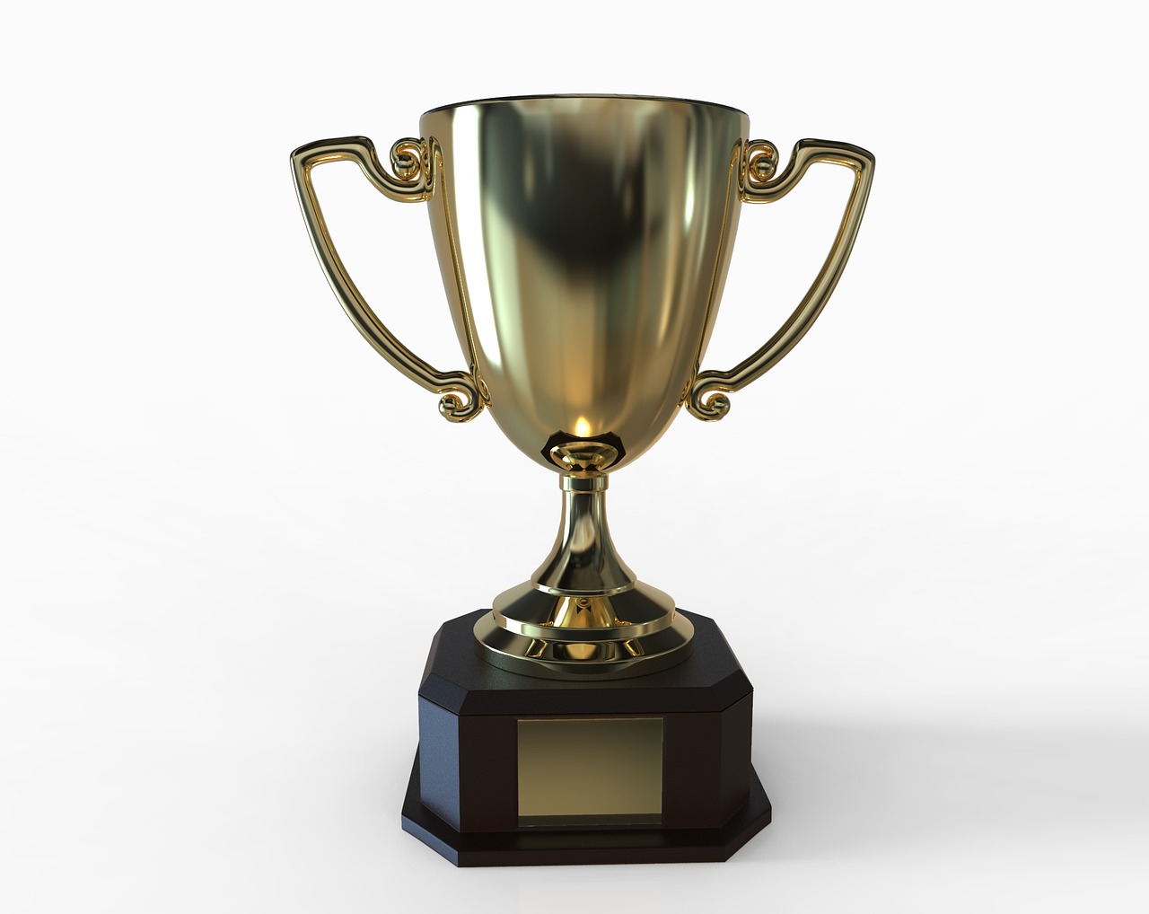 trophy - ICML awards