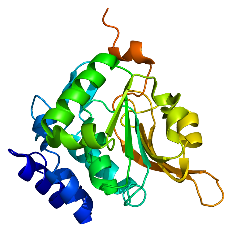 Protein_PCMT1_PDB_1i1n