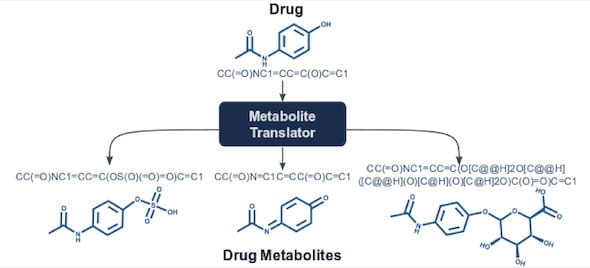 metabolite translator