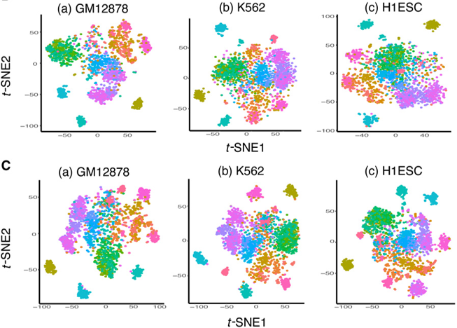 t-SNE plots for different ATAC-seq data