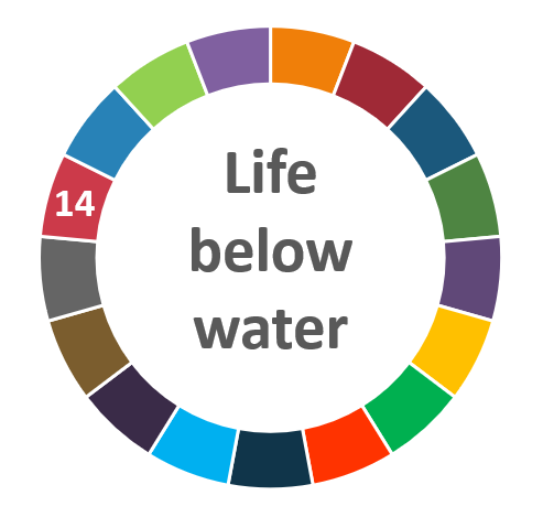 AIhub focus issue on life below water