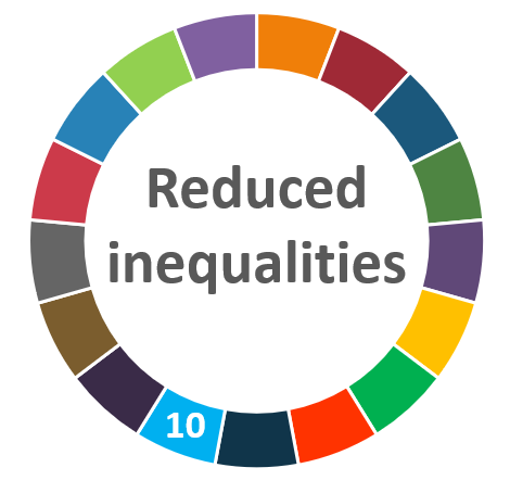 AIhub focus issue on reduced inequalities