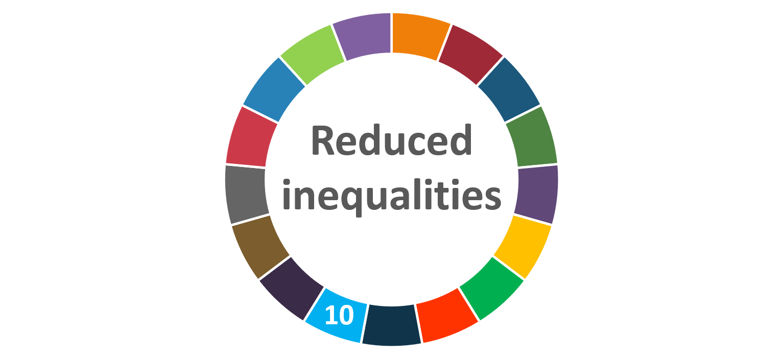 What Is Reducing Inequalities