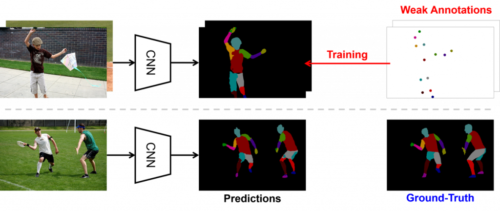 Universal weakly supervised segmentation by pixel-to-segment ...