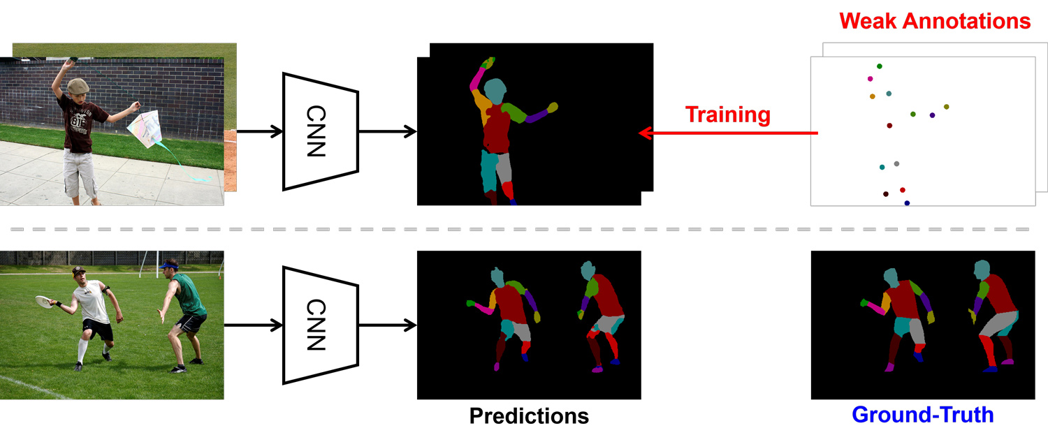Universal weakly supervised segmentation by pixel-to-segment ...