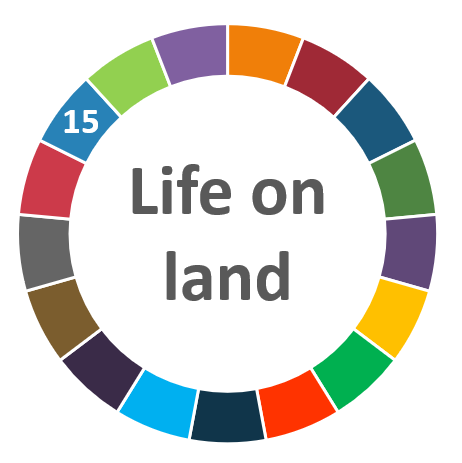 AIhub focus issue on life on land