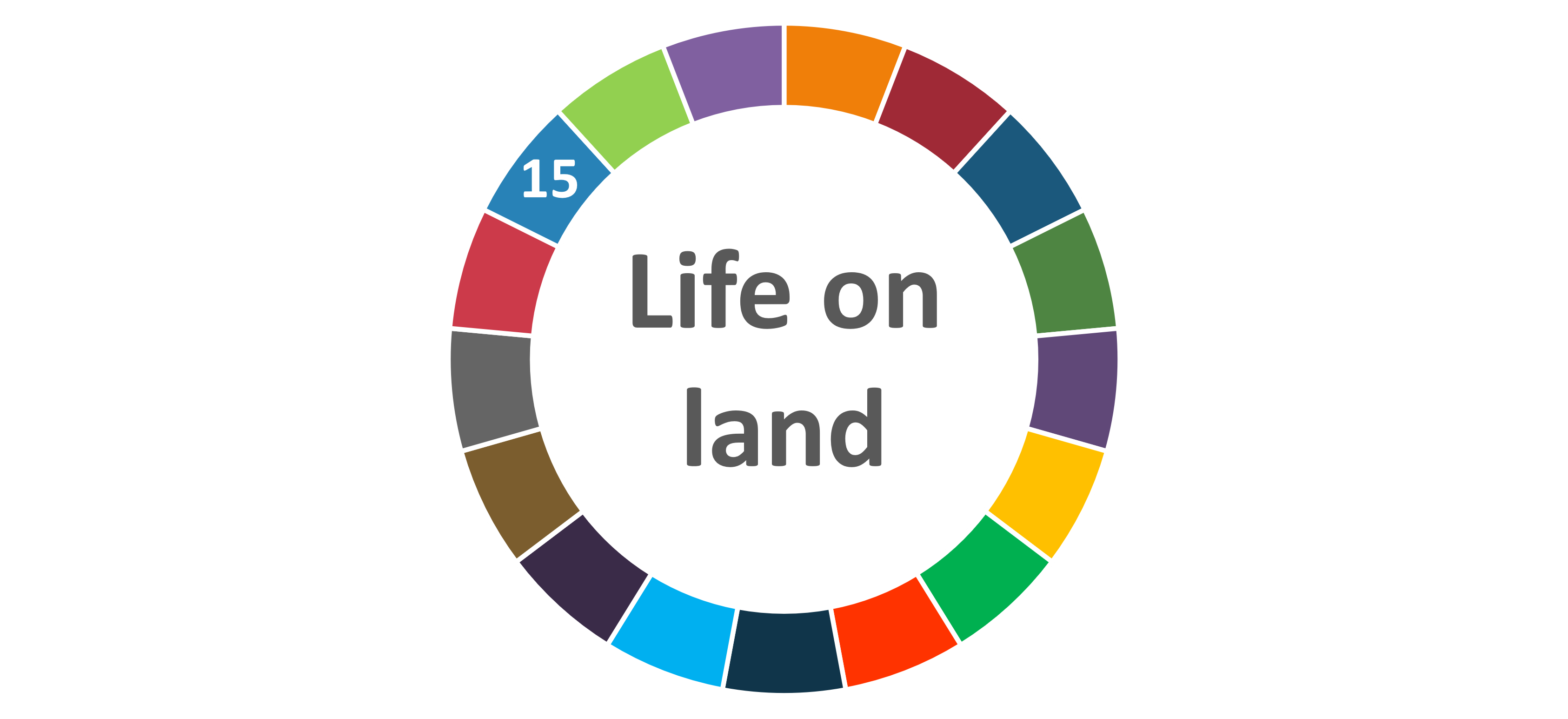 Life on land UNSDG AIhub logo