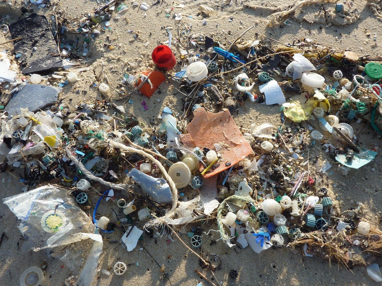 Beach litter