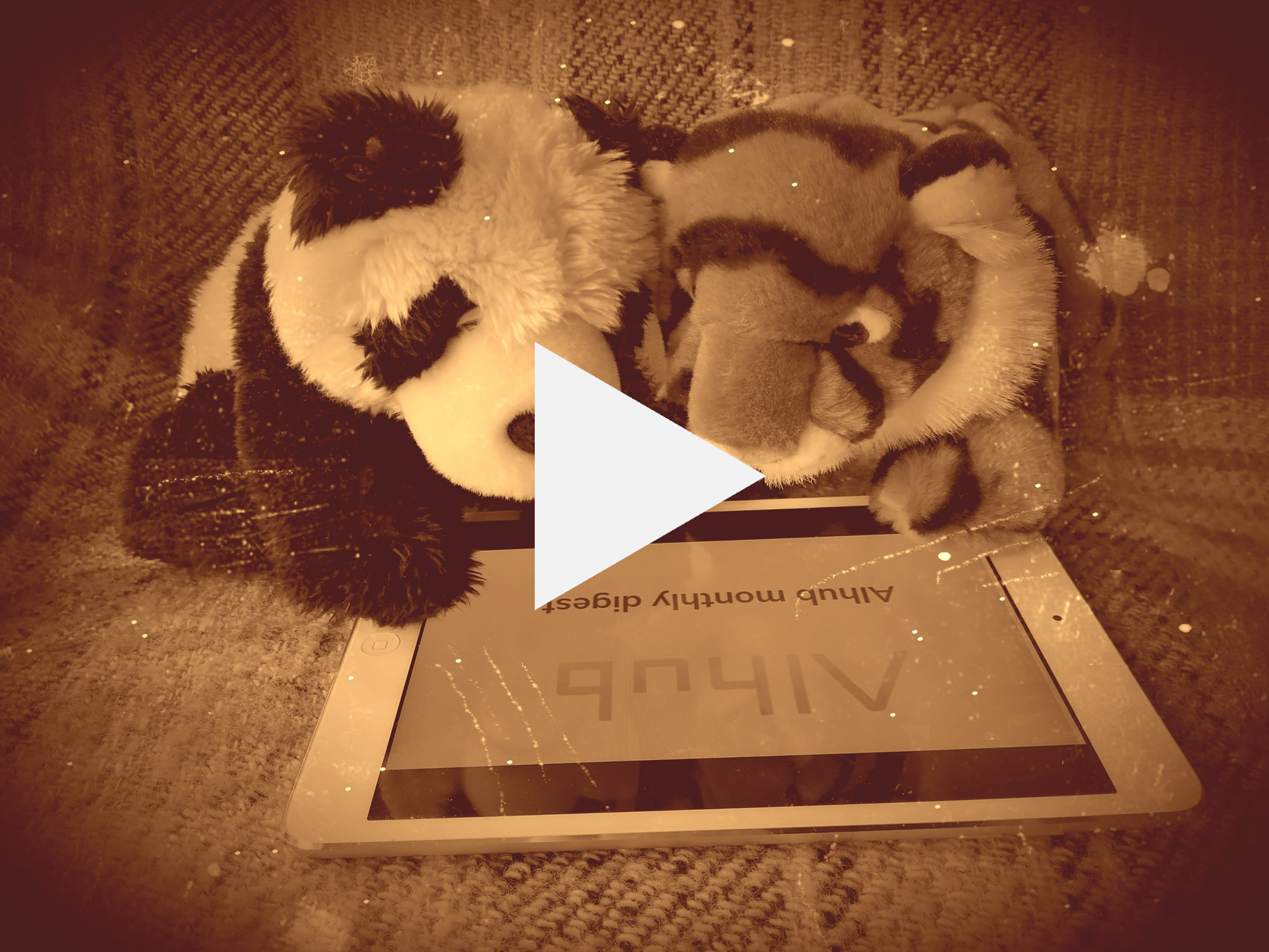 tiger and panda reading screen