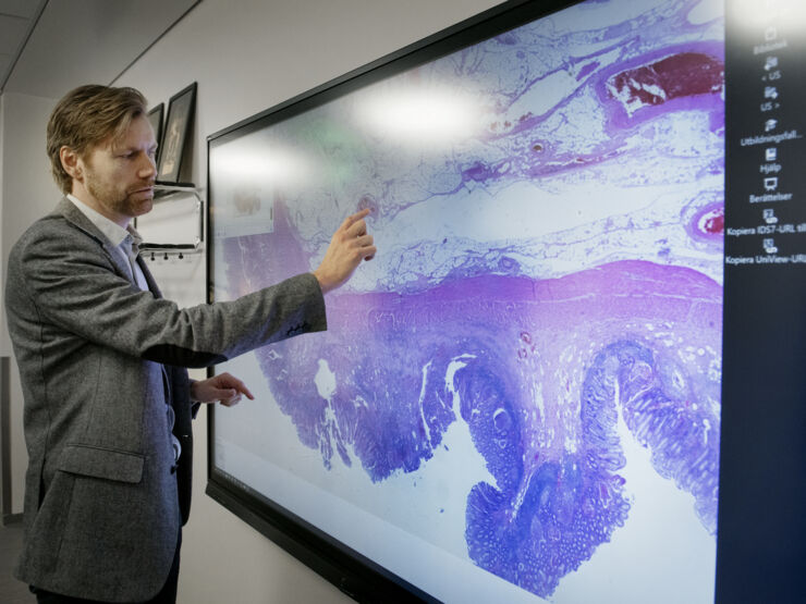 digital pathology slide