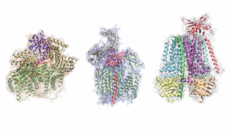 3D rendering of a protein complex structures