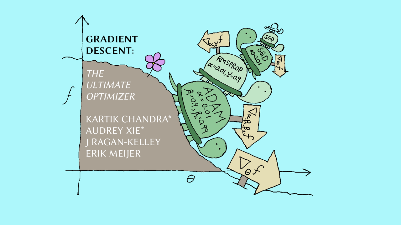 illustration of SGD using turtles to represent different methods