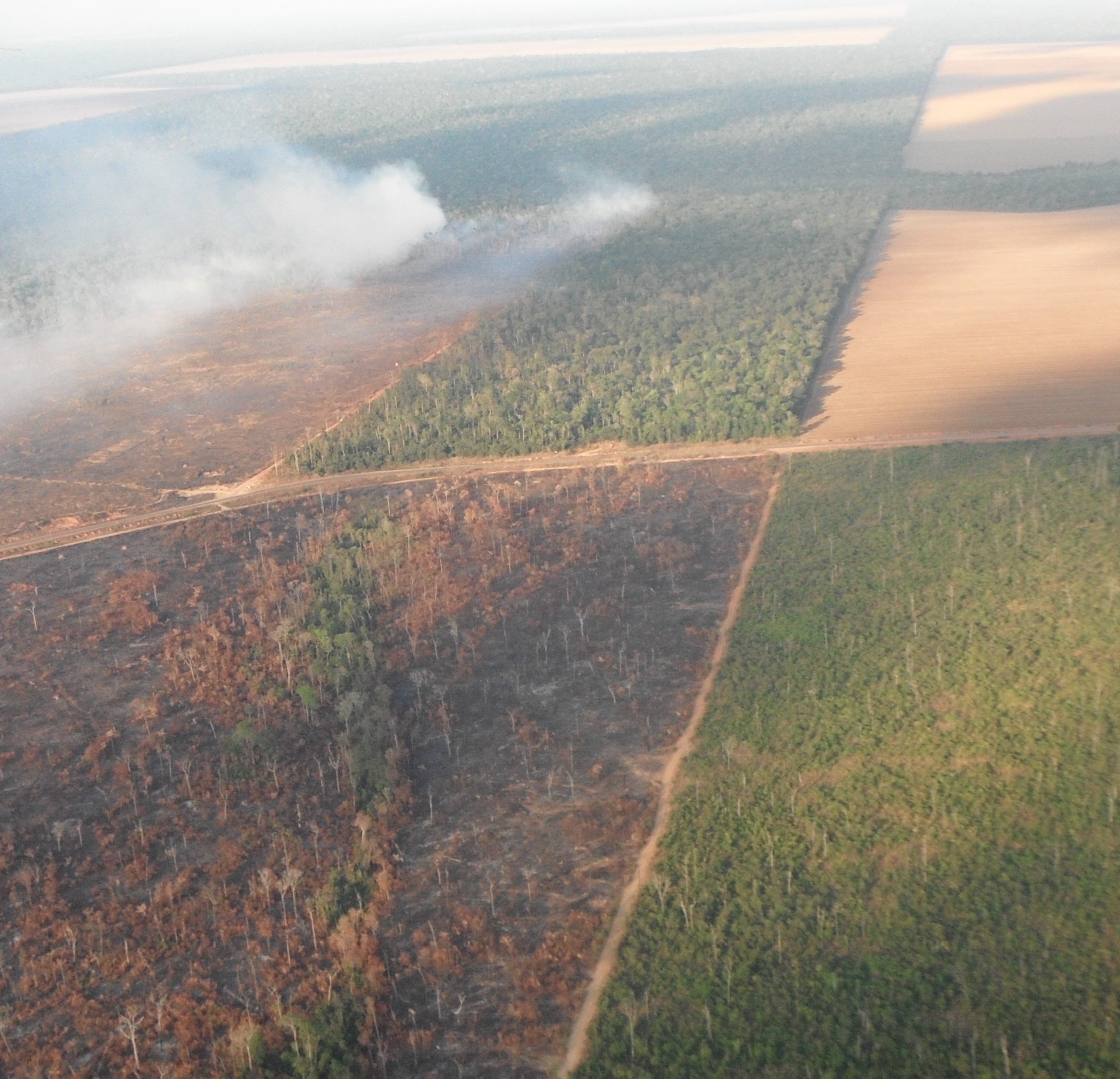 Burned and fragmented forest in the Amazon