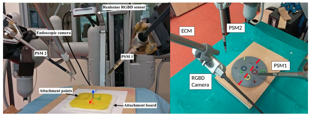 Setups for tissue manipulation and peg transfer for surgical robotic training
