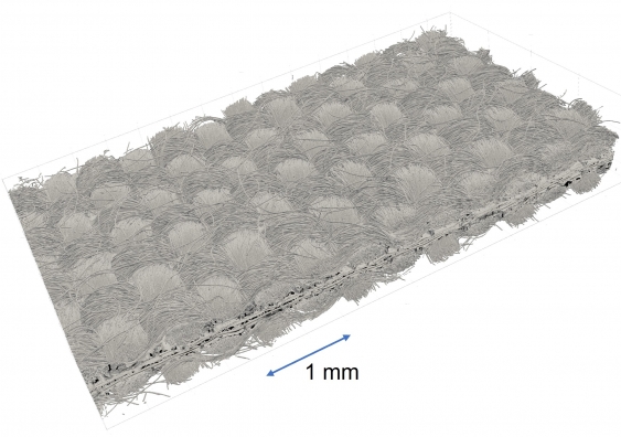 3D X-ray scan of a hydrogen fuel cell, showing carbon paper weaves, membrane and catalysts 