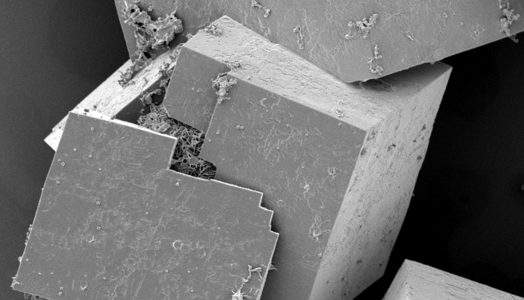 Scanning electron microscope image of MOF crystals