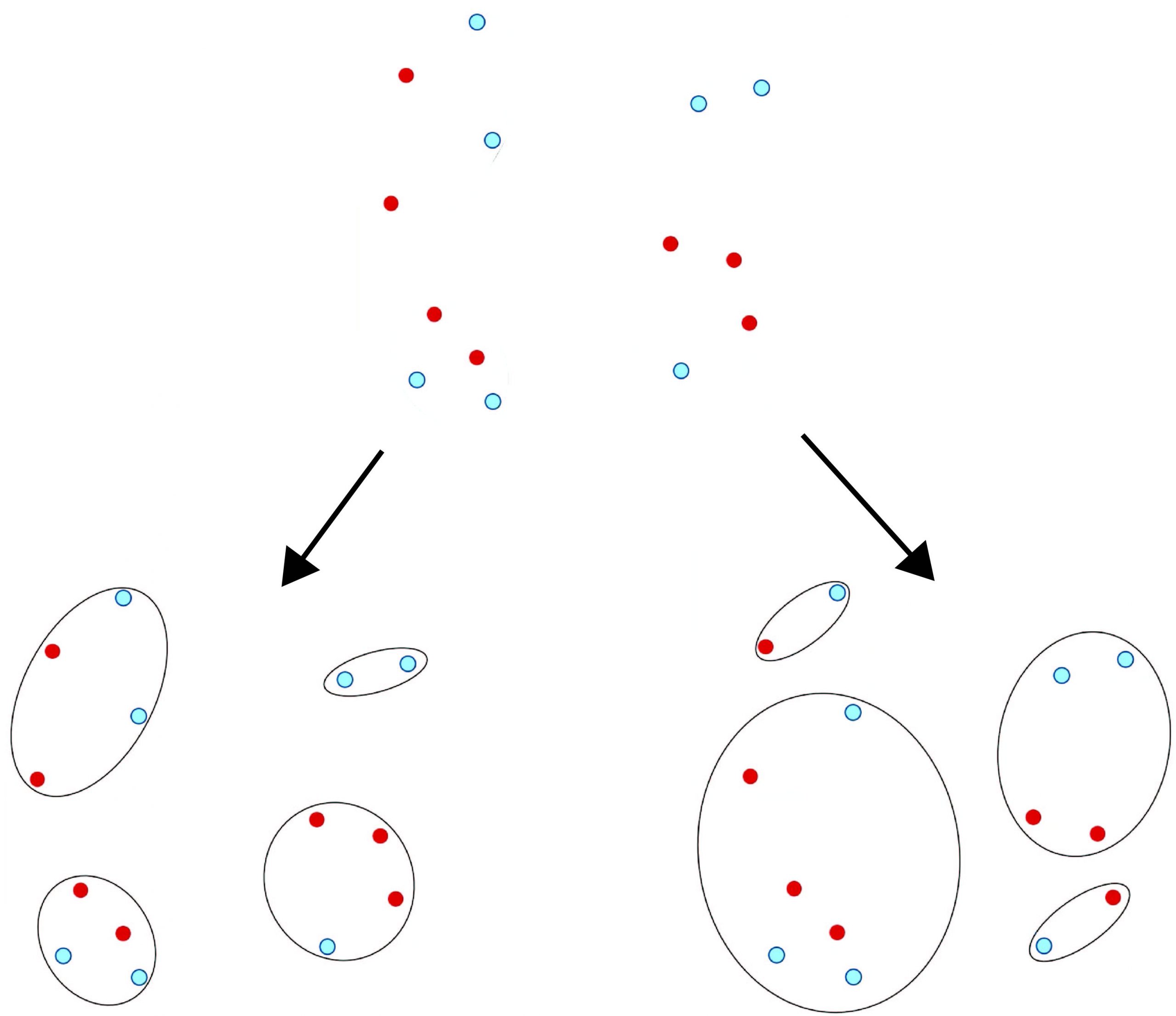 example of clustering with blue and red circles