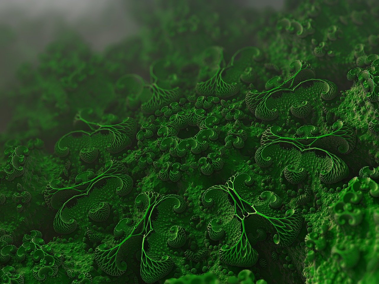 green organism microscopic view