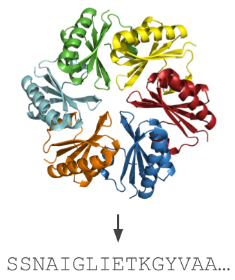 protein schematic in hexagon shape