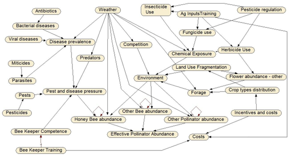 Bayesian network