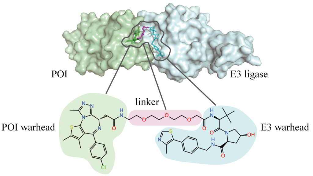 An iterative refinement model for PROTAC-induced structure prediction ...