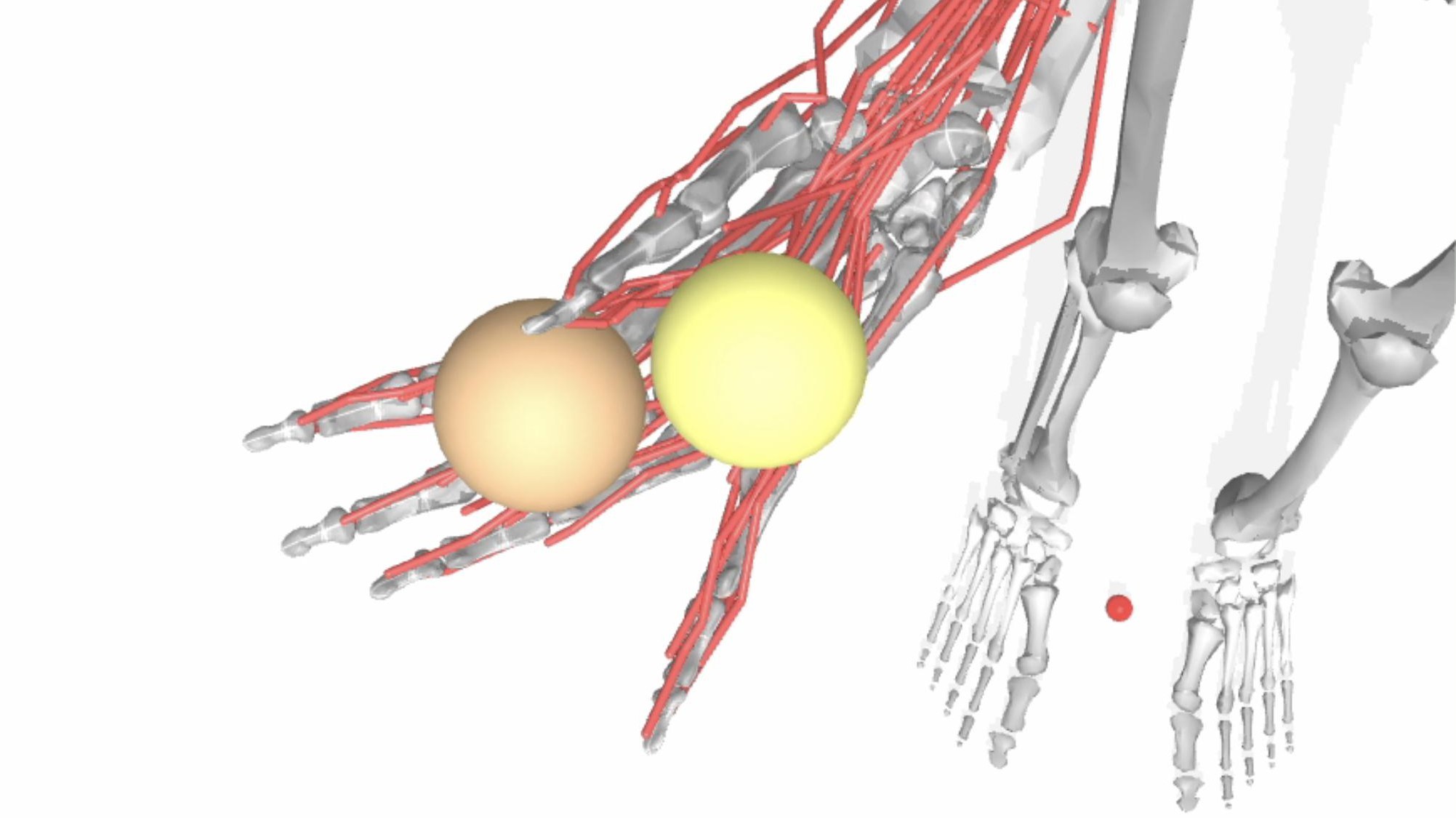 Modeling the minutia of motor manipulation with AI