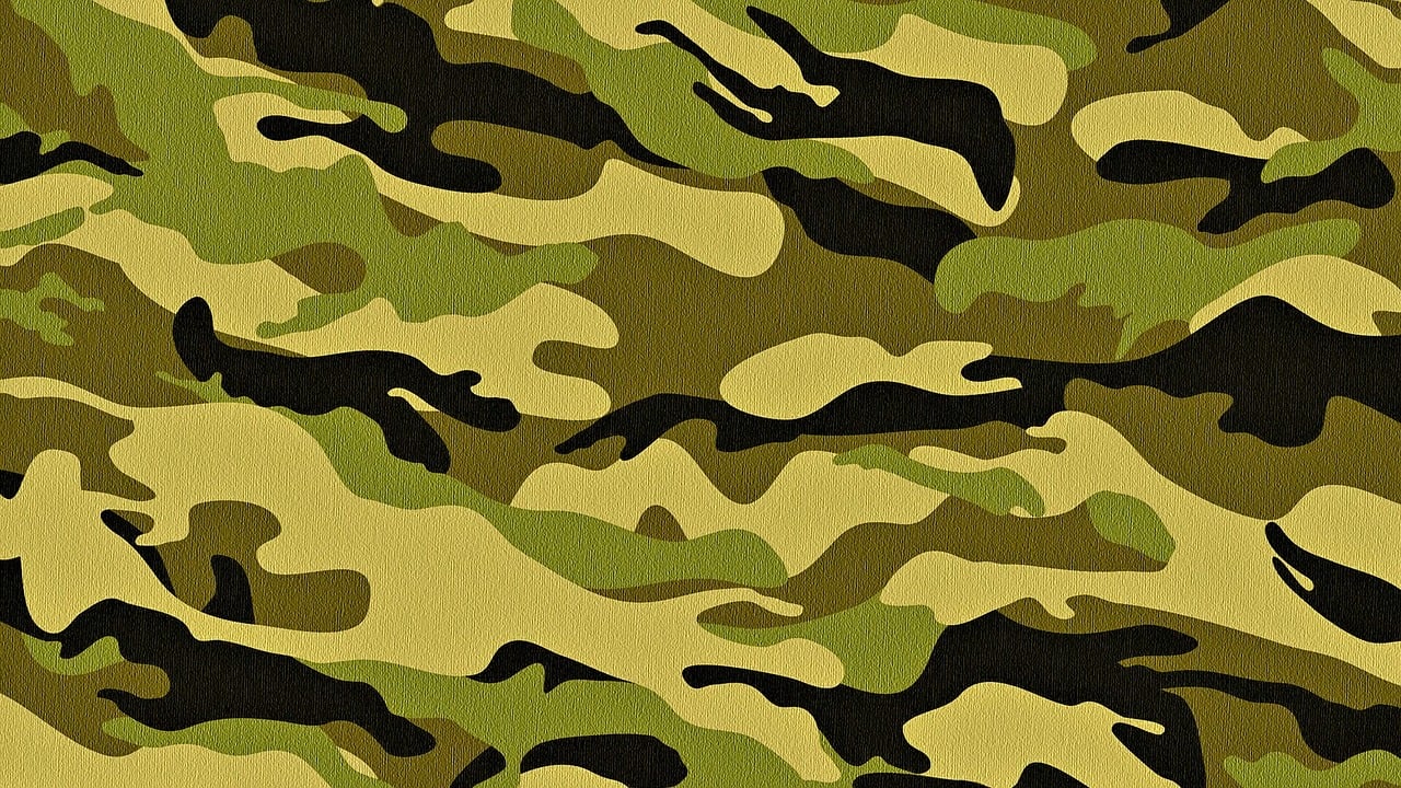 camouflage pattern