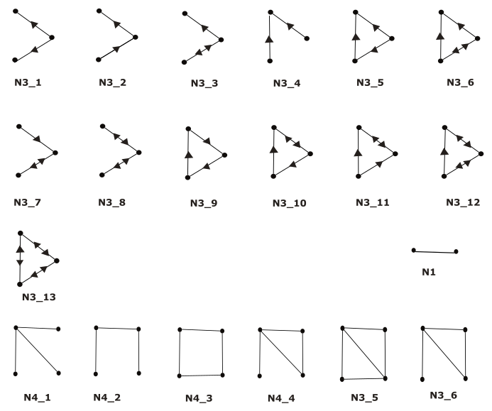 network motifs