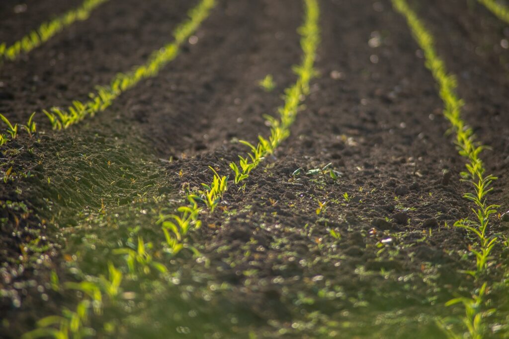 Machine learning powers new approach to detecting soil contaminants