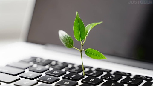 plants growing from keyboard
